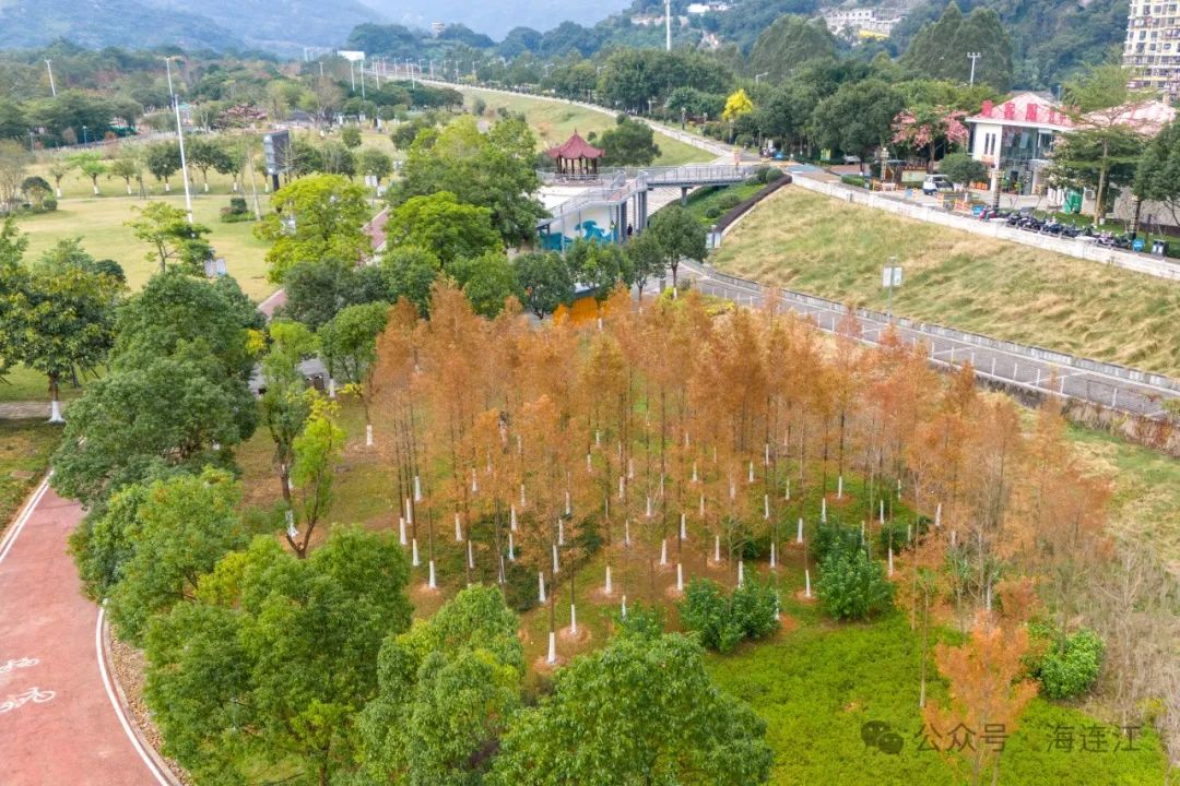 红了！快去打卡！连江这里美得正当时