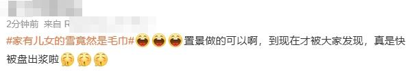 《家有儿女》里的雪竟然是毛巾