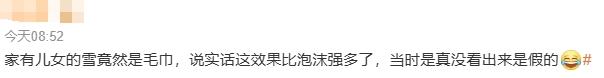 《家有儿女》里的雪竟然是毛巾