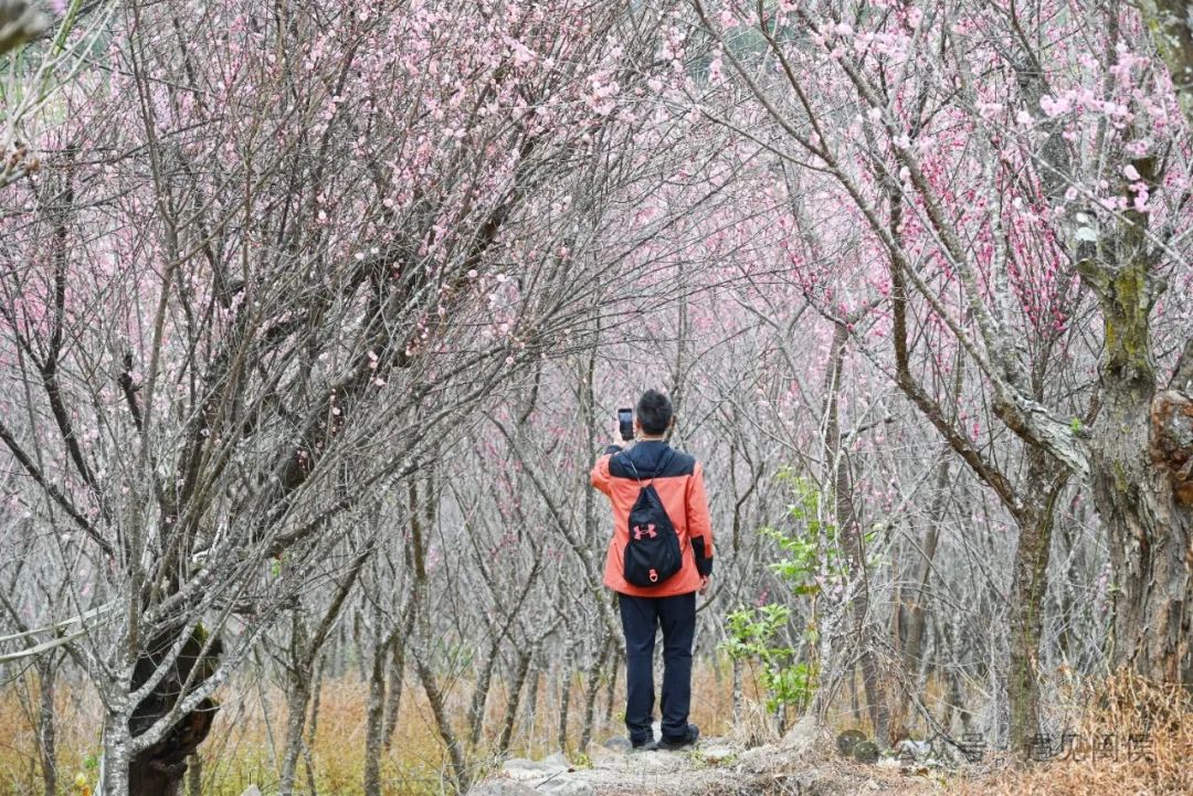 正月初五！福州又刷屏了！大排面！