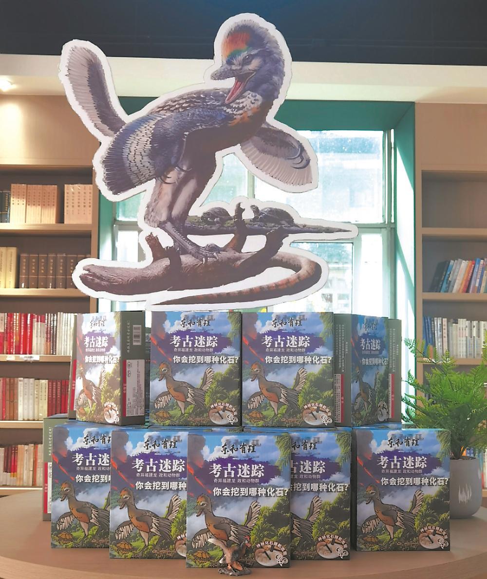 “亿年龙鸟起源地”！福建这地考古出圈又出彩