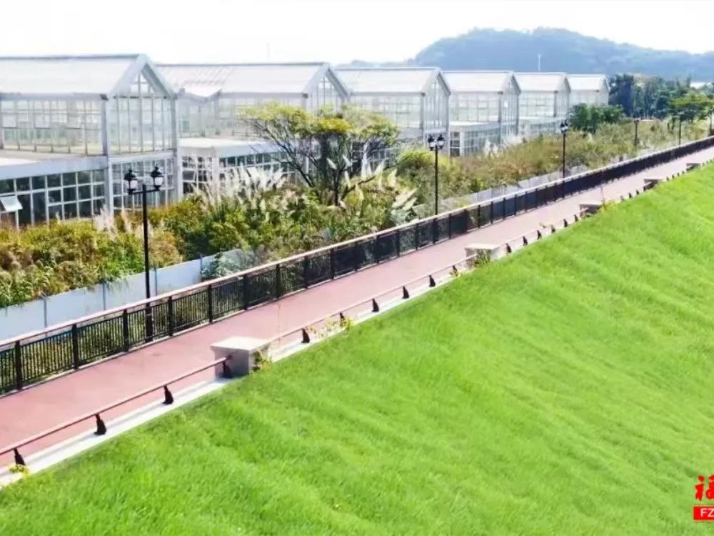 福州这座大型花卉市场拆除重建！未来将……