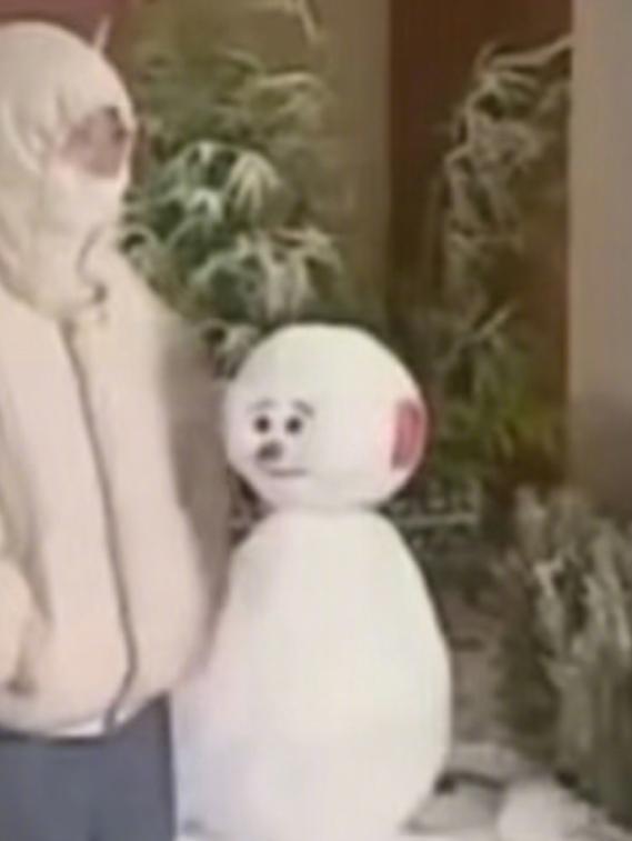 《家有儿女》里的雪竟然是毛巾