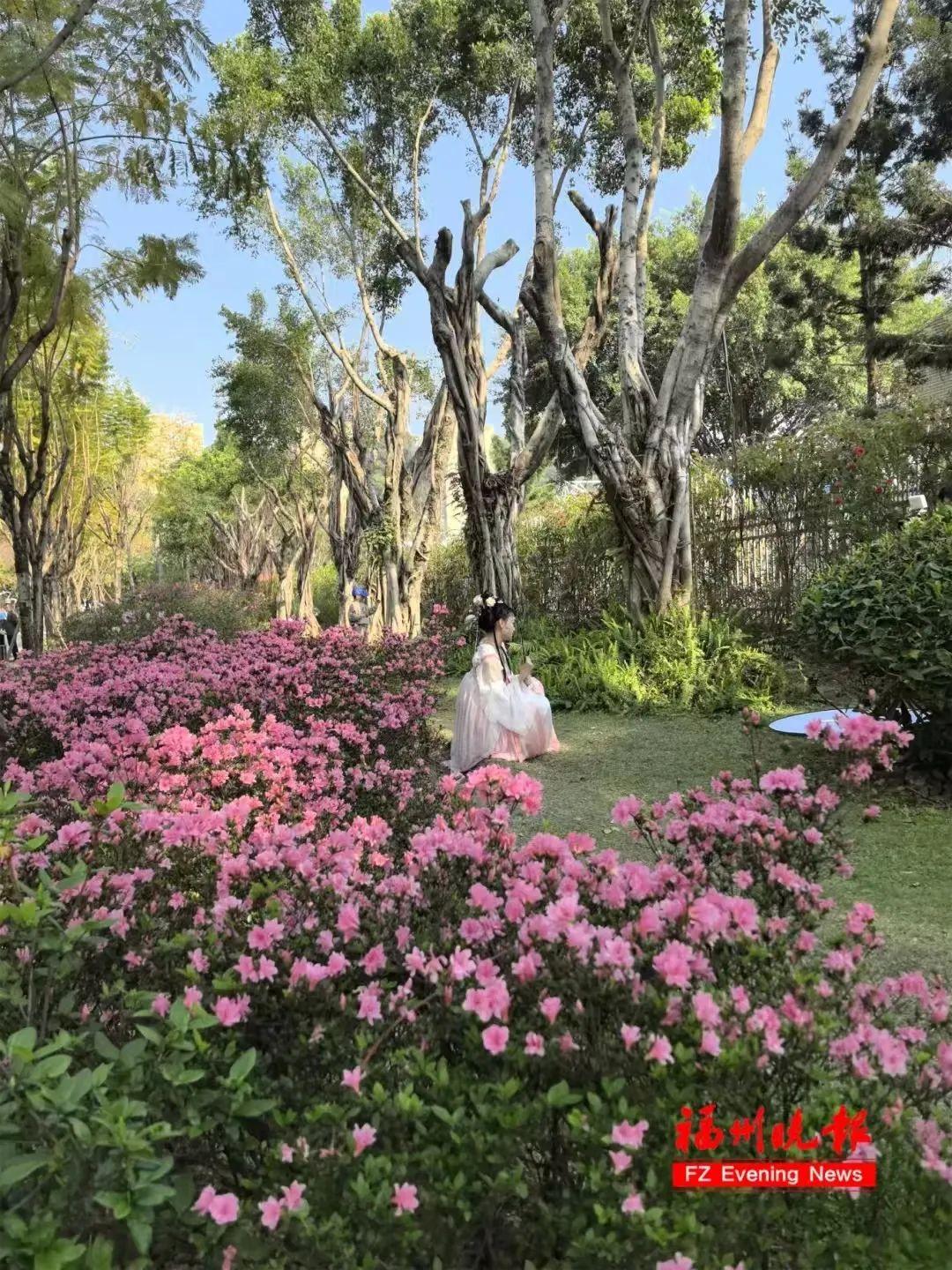 4日20时49分，福州正式进入……