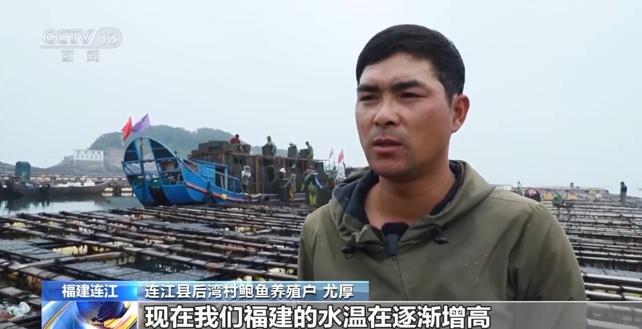 鲍鱼也怕热？连江2万吨鲍鱼开启北上“度夏”模式
