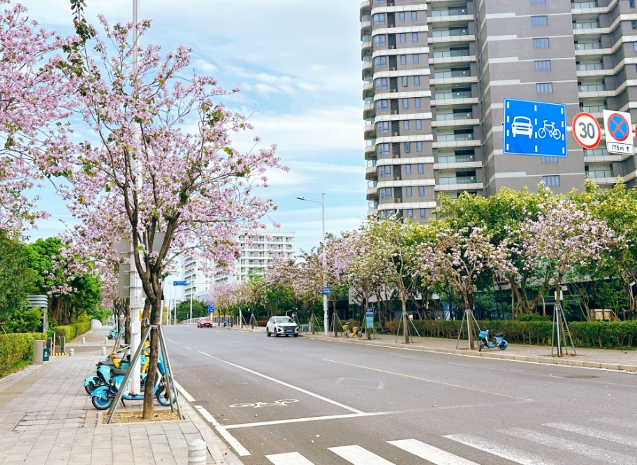 火了！福州这些“花路”，看了会让人心情变好！