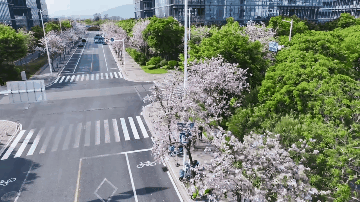 火了！福州这些“花路”，看了会让人心情变好！