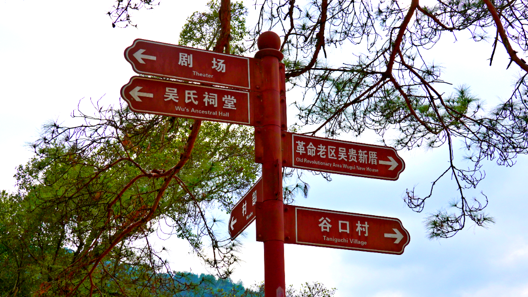 走进传统村落 | 省璜镇王洋村：山间明珠焕新彩