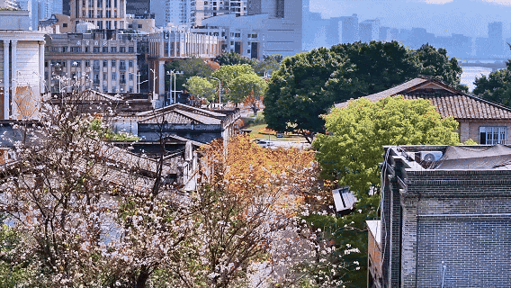 出片胜地！来福州这个“莱茵河畔”