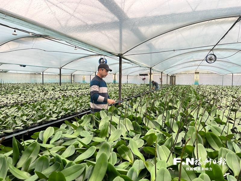 福州高新区打造“赏花+”消费新场景