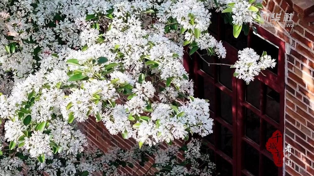 新华社关注福州：马鞍墙头流苏缀