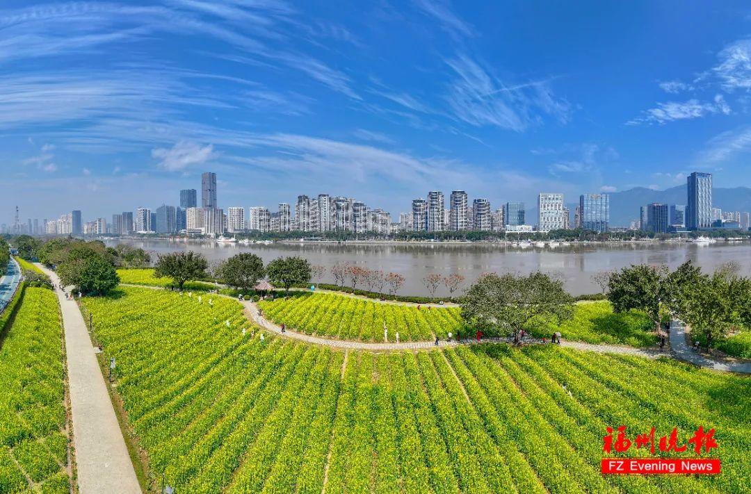 太美了！福州多处正盛放！地铁直达