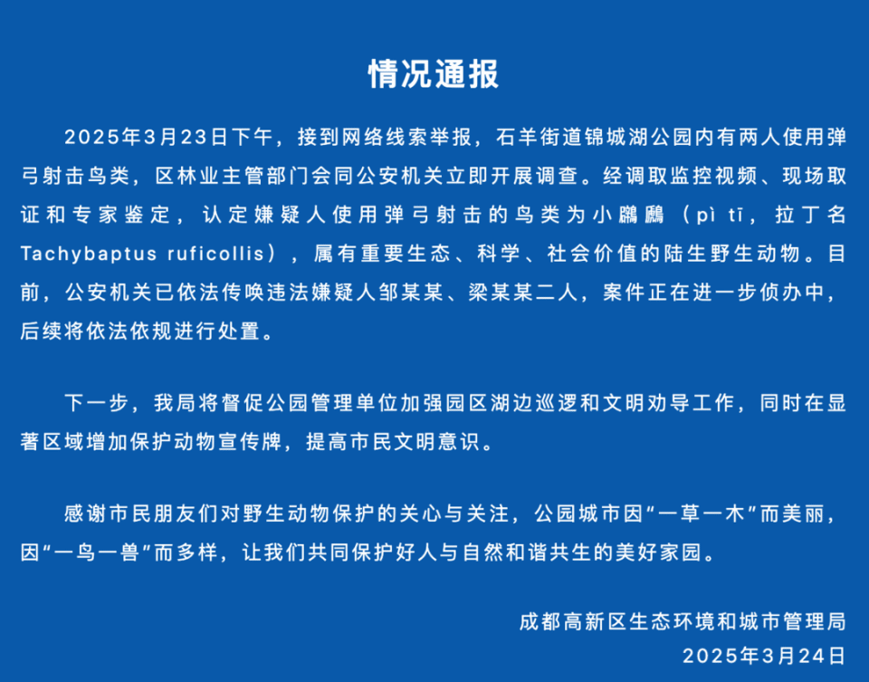 打死西湖鸳鸯的人已找到,为何总有人跟鸟过不去? 打死西湖鸳鸯的人已找到,为何总有人跟鸟过不去?