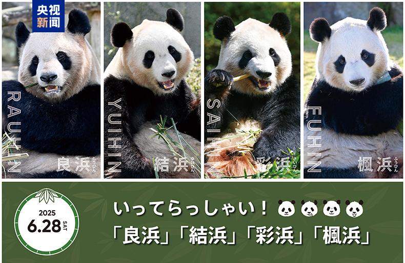 4只旅日大熊猫28日启程回国 日本民众依依惜别