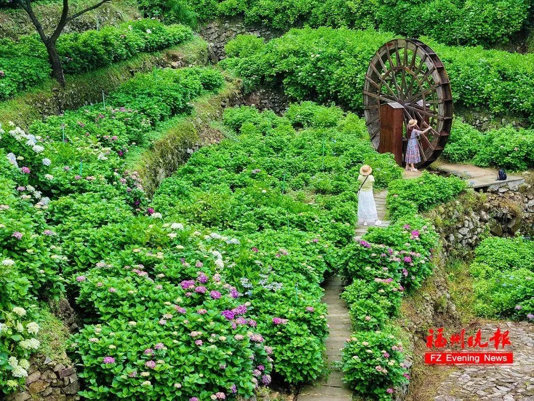 正式开通！直达福州鼓岭！