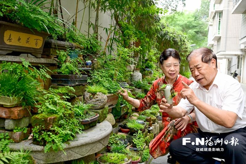 新晋全国文明家庭陈元春家庭为福州文化传承添砖加瓦