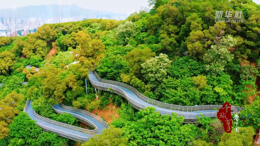 千城百县看中国｜福建福州：邂逅鼓楼的夏日诗行