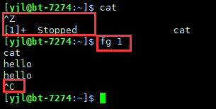 image-20221124221528603