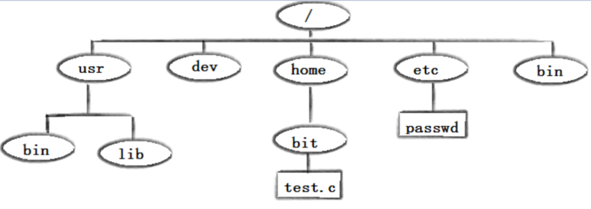 image-20221124115814022