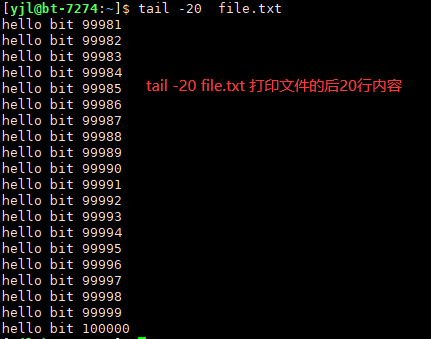 image-20221125143728556