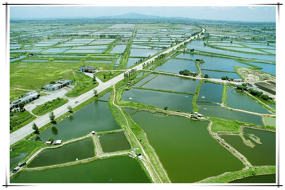 最新或2023（历届）水产养殖教育专业大学排名