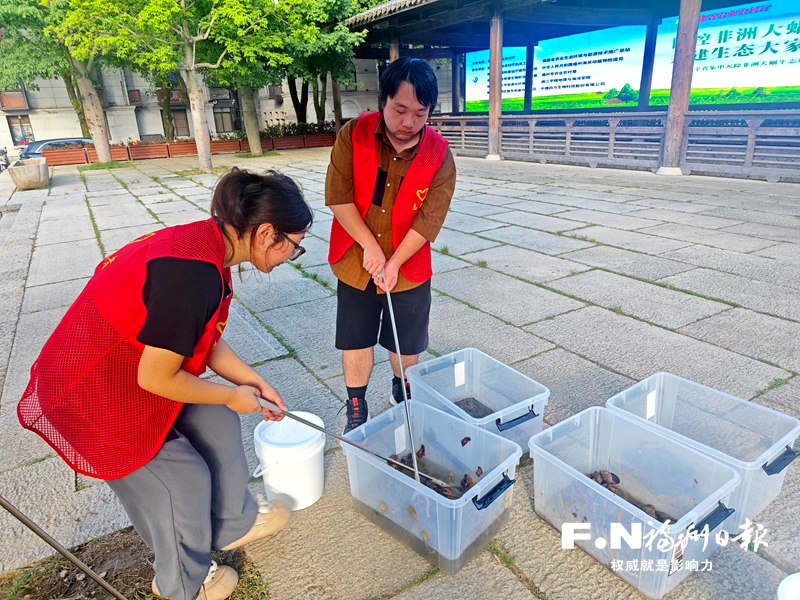 全省集中灭除非洲大蜗牛志愿者行动启动