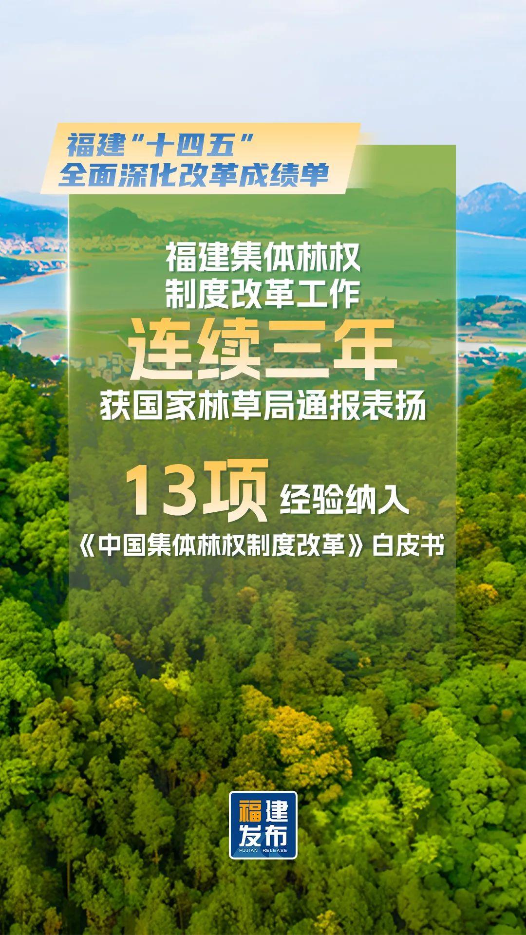 最新！福建公布改革成绩单