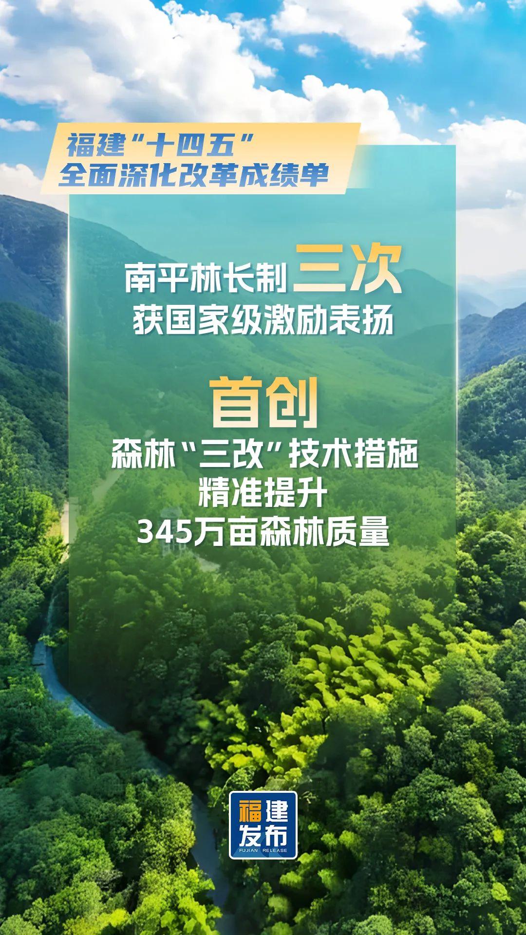 最新！福建公布改革成绩单