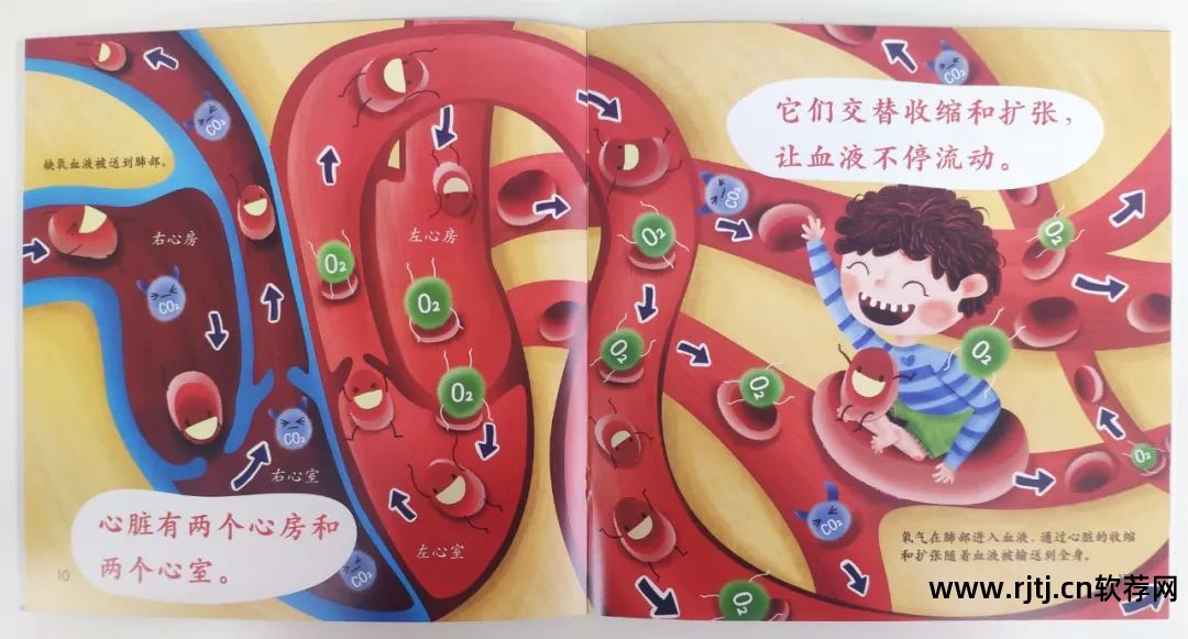 幼儿识字-倍比学语识字软件_悟空教幼儿识字软件_有没有教大人识字的软件