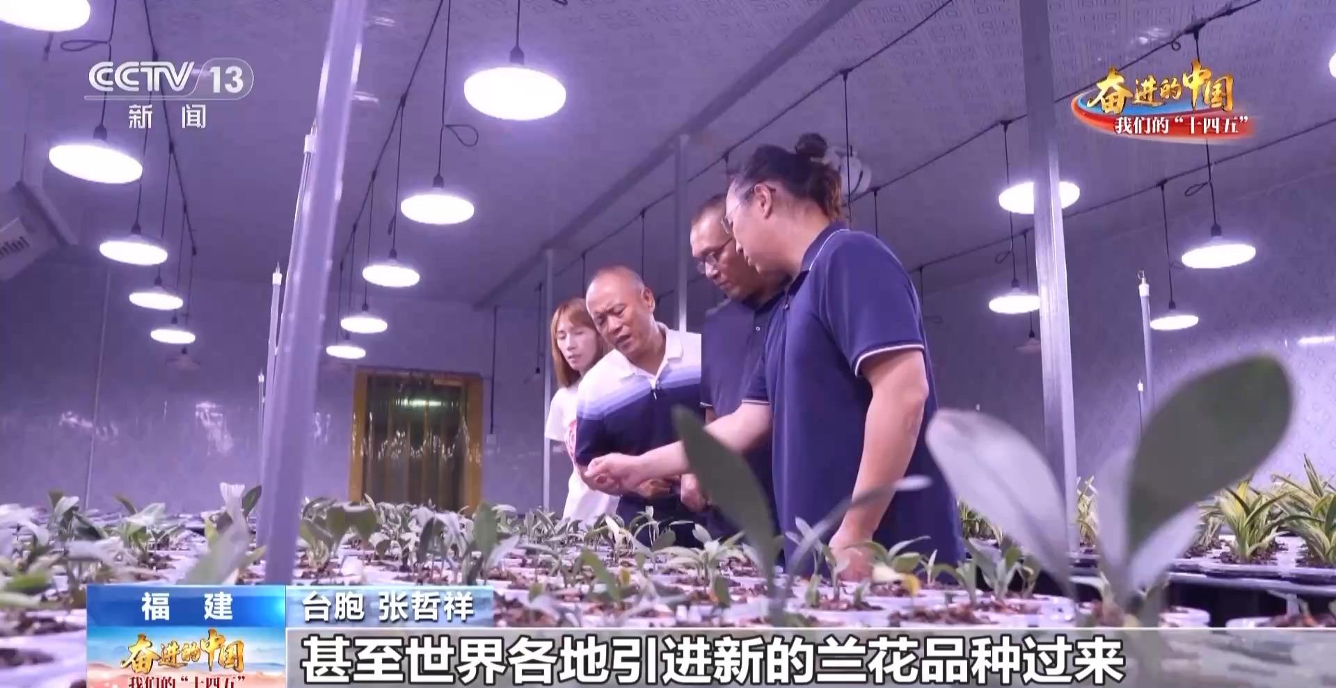 生活事业蒸蒸日上 台胞台企在福建获得感满满