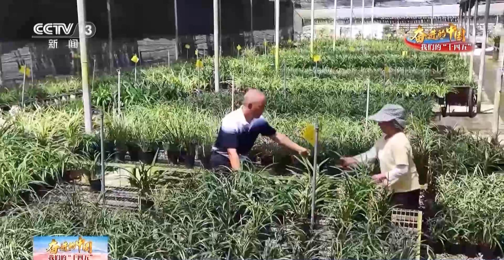 生活事业蒸蒸日上 台胞台企在福建获得感满满
