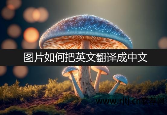 什么软件可以直接翻译单词_单词翻译软件直接可以用吗_单词翻译软件哪个好