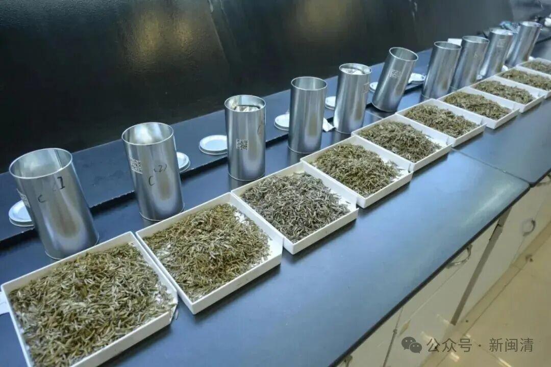 福州茉莉花茶闽清产业园7家茶企斩获茶王赛11个奖项