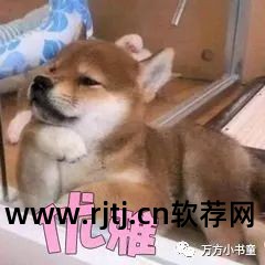 万方论文查重软件_论文万方软件查重怎么查_万方论文查重收费标准