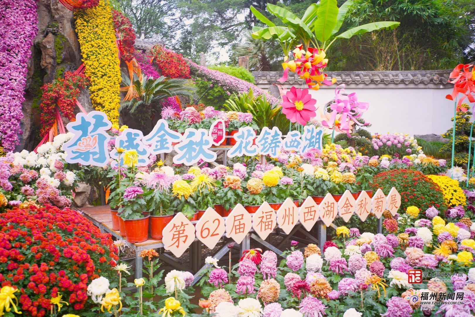 视频·见闻｜一郎来了！邂逅福州秋日“顶流”……