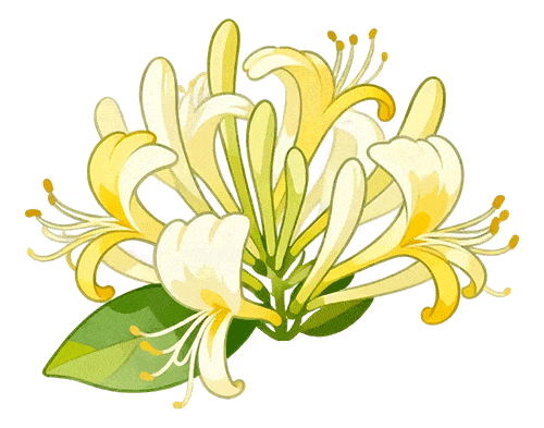 老有福｜86岁赵奶奶的福州“享”福记