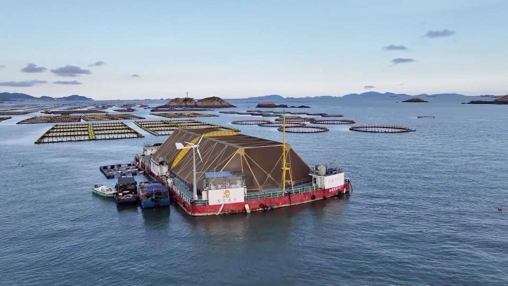 科技赋能“耕海牧渔” 连江书写“蓝色答卷”