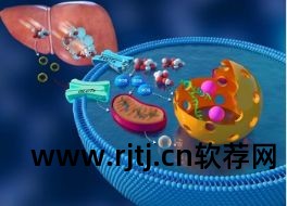 高分辨率软件字体小_高分辨率软件字体小_高分辨率软件字体小