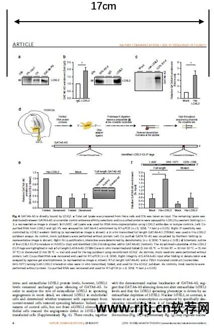 高分辨率软件字体小_高分辨率软件字体小_高分辨率软件字体小