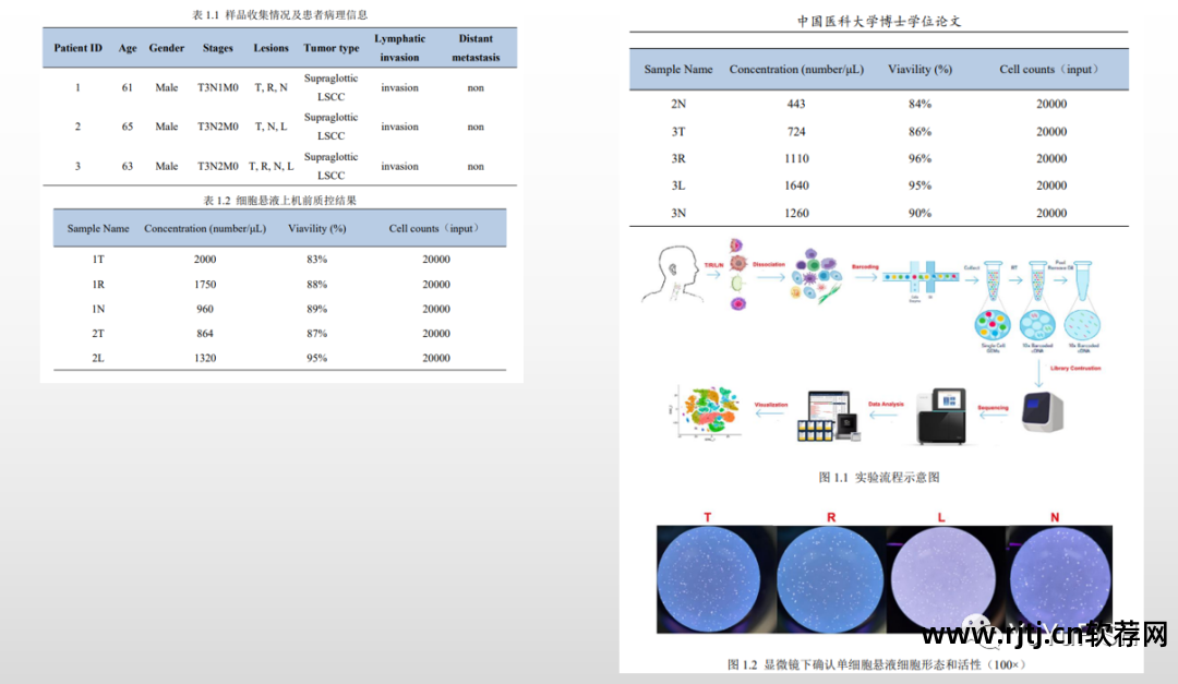 群克隆失败是怎么回事_群克隆是什么意思_群克隆软件