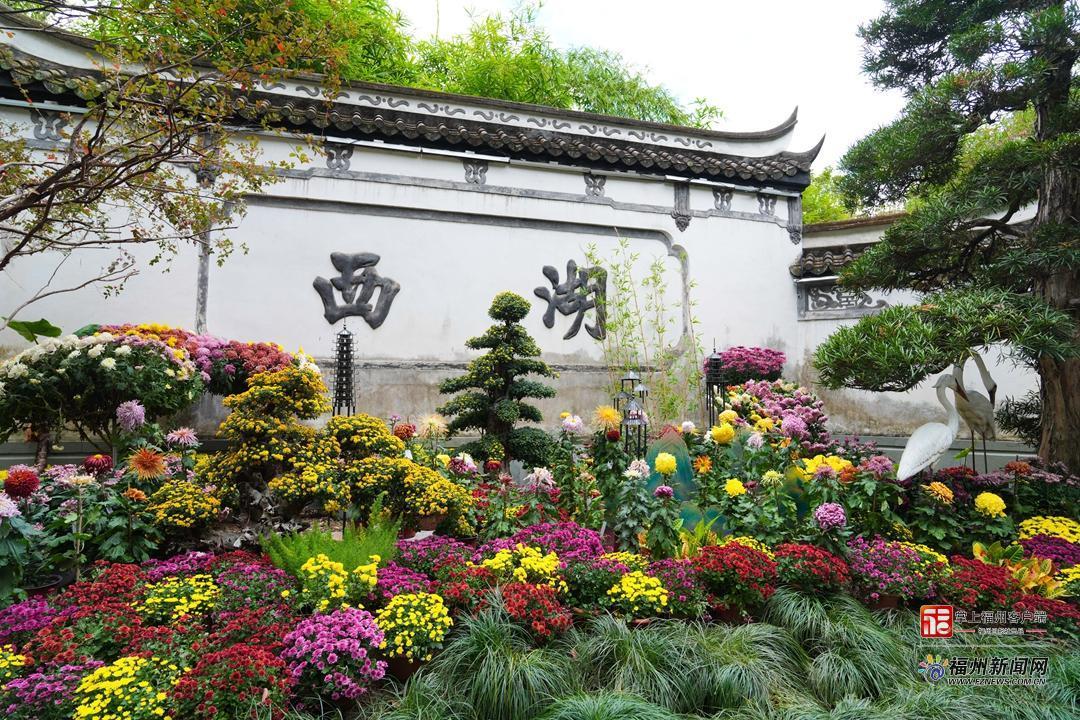 视频·见闻｜一郎来了！邂逅福州秋日“顶流”……