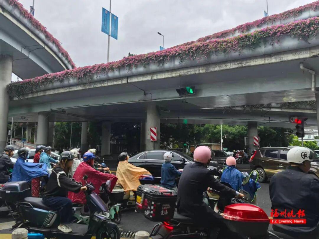 大风！大雨！暴雨！即将抵达福建！台风“凤凰”已进入24小时警戒线
