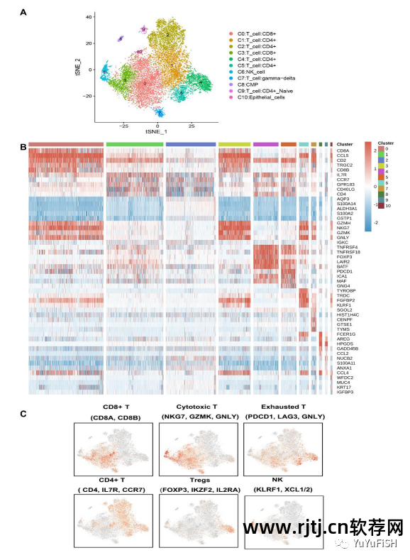 群克隆失败是怎么回事_群克隆是什么意思_群克隆软件