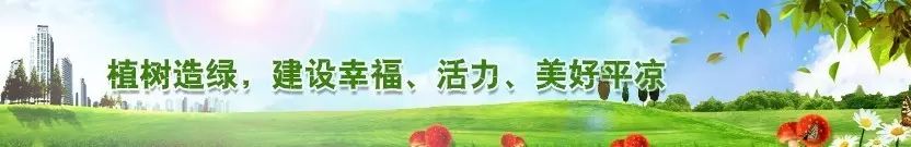 五险合一软件下载_社保五合一软件5.0_社保五险合一软件