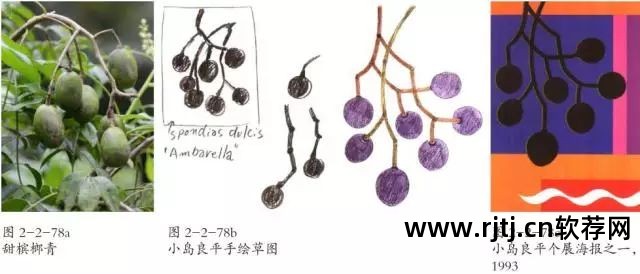 平面教程软件设计视频_平面设计软件教程_平面设计软件教学