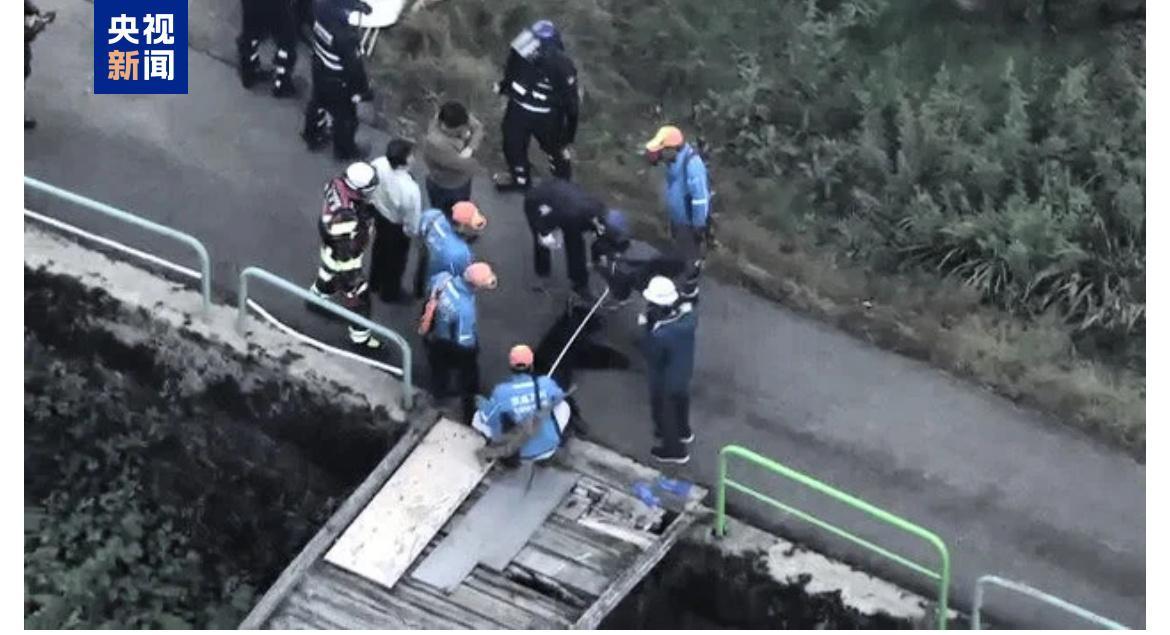 日本自卫队开始支援捕熊行动