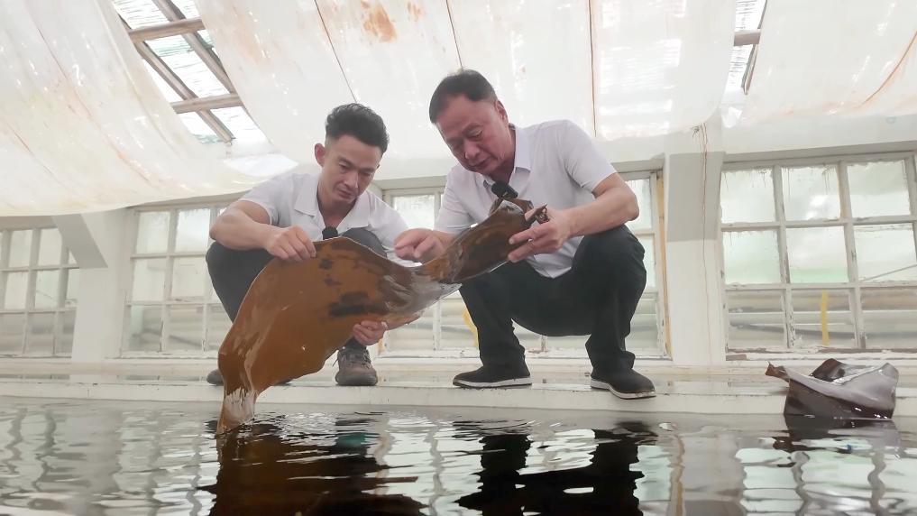 科技赋能“耕海牧渔” 连江书写“蓝色答卷”