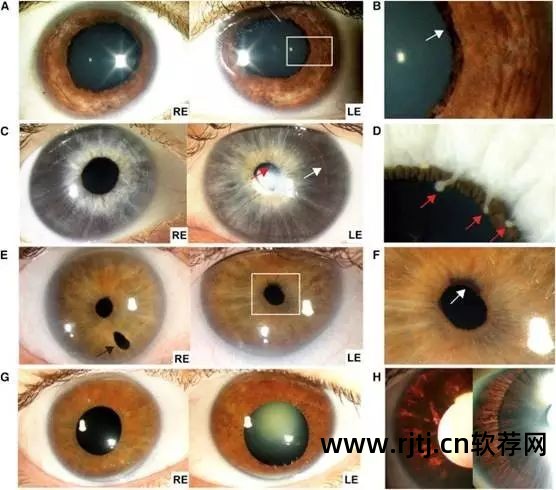 制作列表的软件_做图片列表的软件_图片表格制作软件