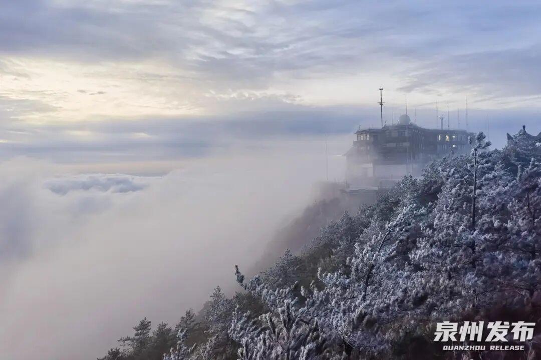 断崖式降温！最低3℃！福建一地迎来首场雾凇