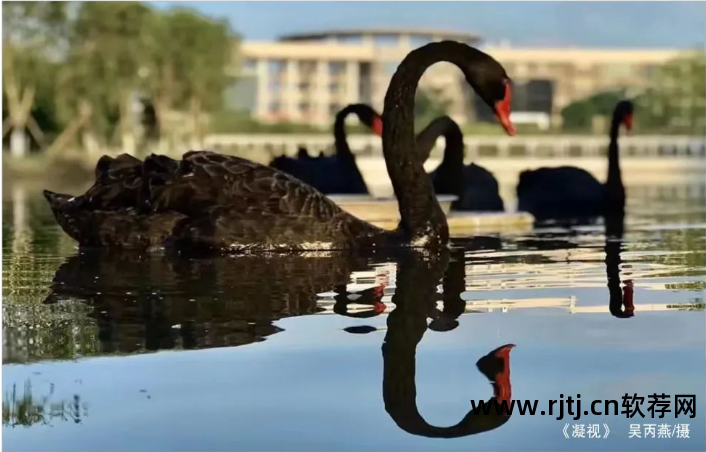 厦门理工软件工程学院_厦门理工学院软件工程学院官网_厦门理工大学软件工程学院